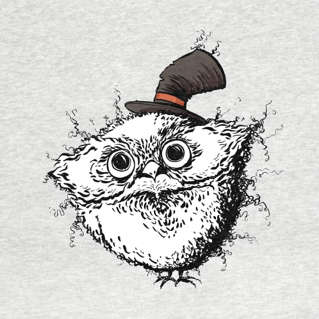 A Cute Fuzzy Owl with an Adorable Little Hat by obillwon